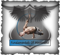 Fundamentals Of Movement
